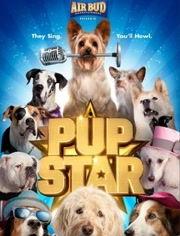 萌犬好声音 原声版,治愈心灵的犬界歌唱盛宴