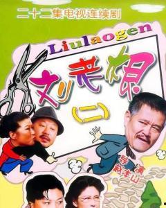 刘老根2,笑谈江湖，再续传奇