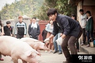 猪一样的女子,揭秘现代女性的独特魅力与成长之路