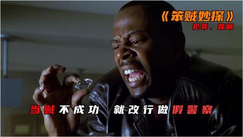 笨贼妙探,一场啼笑皆非的破案之旅